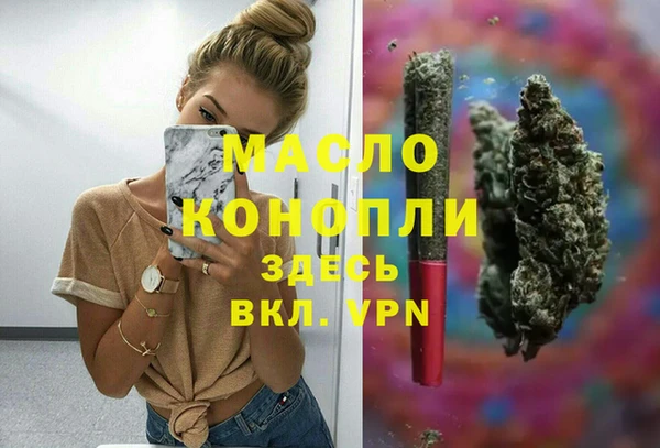 стаф Бородино