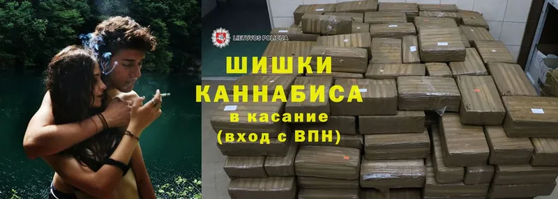 Бошки марихуана THC 21%  где можно купить   Красноперекопск 